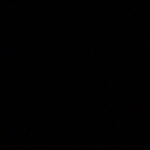 Meet your Posher, Didier